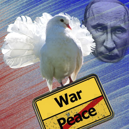 Symbolic image, dove of peace with sign War or Peace, further peace, Trump Irrified, Putin and Ukraine War, Russian drones attack Ukraine and the EU, sabotage by Russia, cybercrime, espionage, undersea cable, Baltic states, Poland, threat to Europe/world politics, billiards of world politics, Ukraine, Russia, danger situation, continued gas delivery, arms supplies, scarcity of fossil fuels, calcium winter, frost, energy supply, food for third world, supply of raw materials