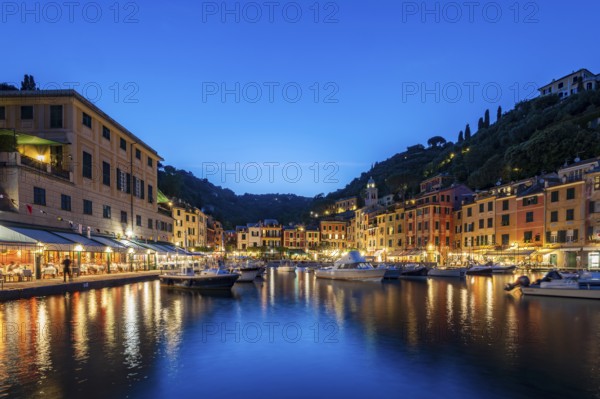 Boats in Portofino Harbour, Evening, Portofino, Liguria, Italy