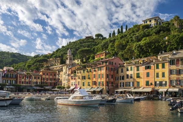 Boats in Portofino Harbour, Portofino, Liguria, Italy