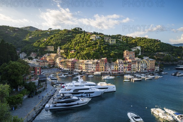 Boats and yachts in Portofino Harbour, Portofino, Liguria, Italy