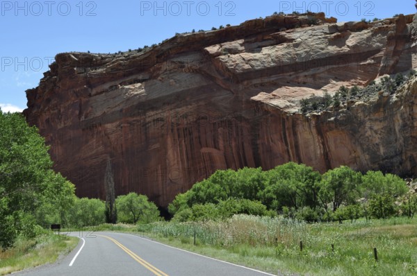 Country road along an imposing rock wall with trees, Fruita, Capitol Reef National Park, Utha, USA
