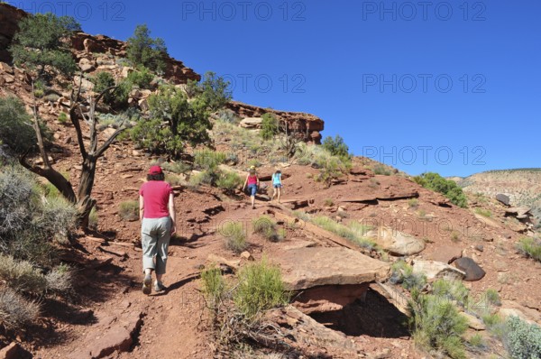 People hiking on a trail through a rocky desert landscape with red rocks, Capitol Reef National Park, Utha, USA