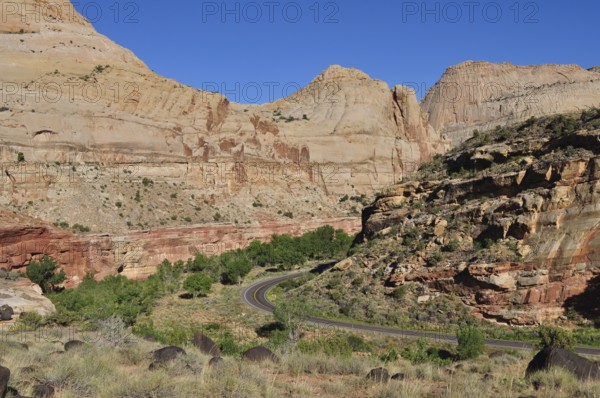 Road through winding gorge surrounded by rocks and some vegetation, Capitol Reef National Park, Utha, USA