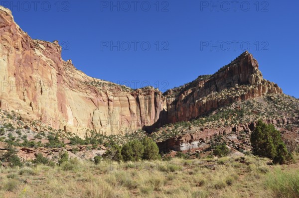 Steeply sloping rocky landscape with sparse vegetation under bright blue sky, Capitol Reef National Park, Utha, USA