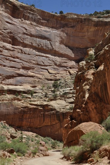 Gravel road through an imposing canyon with overwhelming red rock walls and deep shade, Capitol Reef National Park, Utha, USA