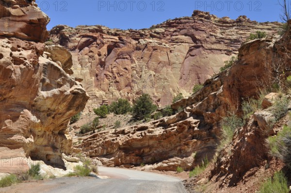 Narrow road through a canyon with impressive red cliffs and clear skies, Capitol Reef National Park, Utha, USA