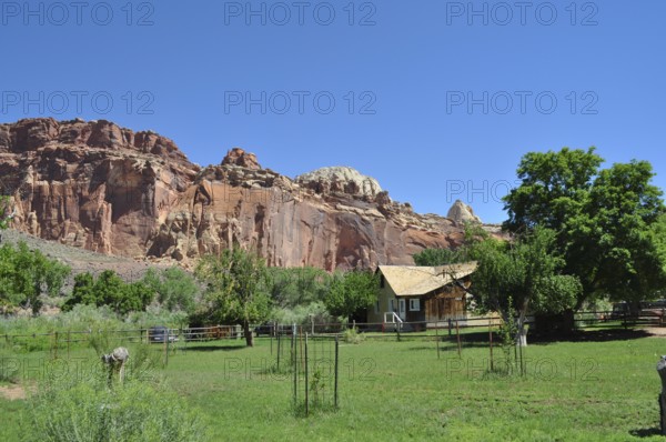 Small wooden house in front of reddish brown rocks, surrounded by green trees and grass, Fruita, Capitol Reef National Park, Utha, USA