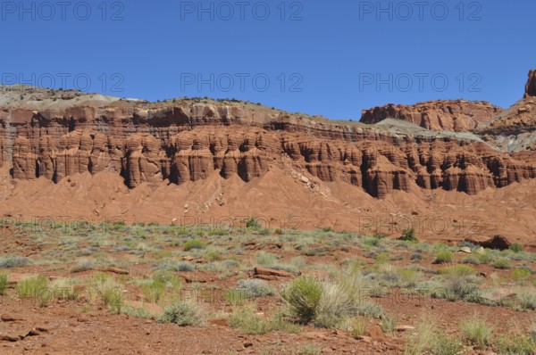 Red rock formation with low desert vegetation, Capitol Reef National Park, Utha, USA