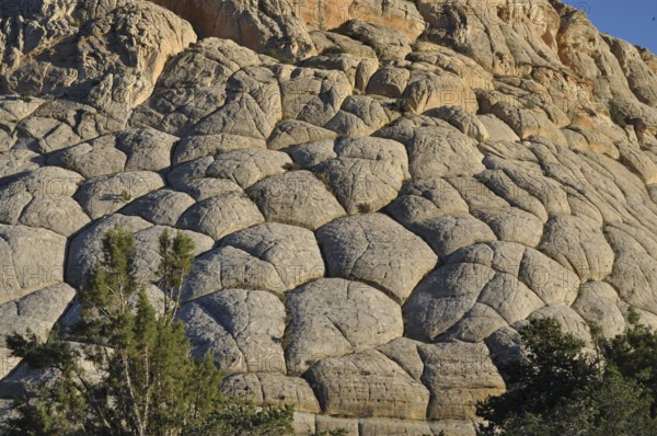 Close-up of a spherical rock structure in the desert, Capitol Reef National Park, Utha, USA