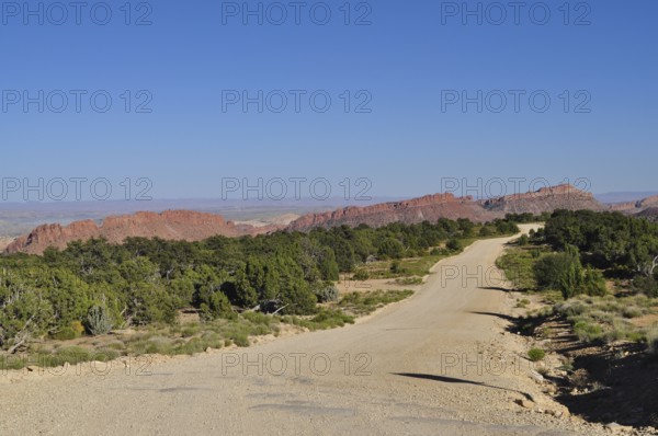 Gravel road through a dry desert landscape with red rocks and trees, Capitol Reef National Park, Utha, USA