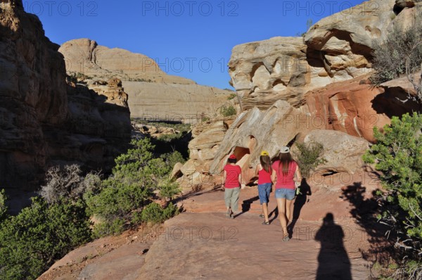 Hikers in summer desert landscape surrounded by red rocks and scattered vegetation, Capitol Reef National Park, Utha, USA