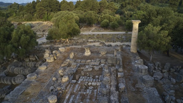 Temple of Zeus in morning light, remains of ancient structures in a wooded region with a prominent column, drone shot, archaeological site, Ancient Olympia, Olympia, Peloponnese, Greece