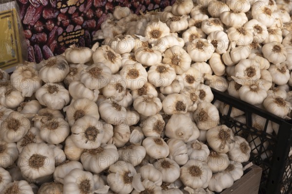 Fresh Garlic for sale in Turkish Bazaar in Ankara