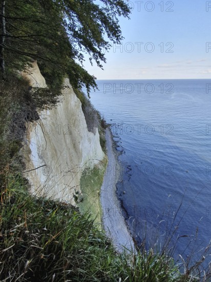 Steep chalk cliffs by the sea with vegetation and blue sky, Jasmund National Park, Rügen, Baltic Sea