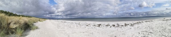 Lonely coastal landscape with white sandy beach, cloudy sky and grassy dunes, Rügen, Baltic Sea