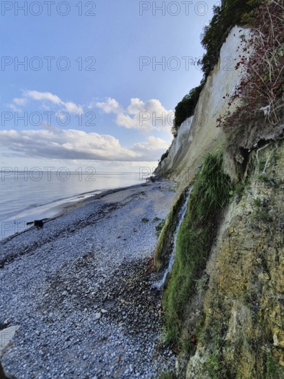 Steep rocky coast with chalk cliffs and pebble beach, Jasmund National Park, Rügen, Baltic Sea