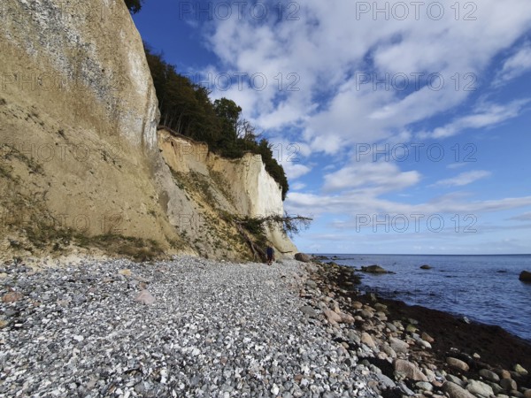 Pebble beach on cliffs on chalk cliffs under a slightly cloudy sky, Jasmund National Park, Rügen, Baltic Sea