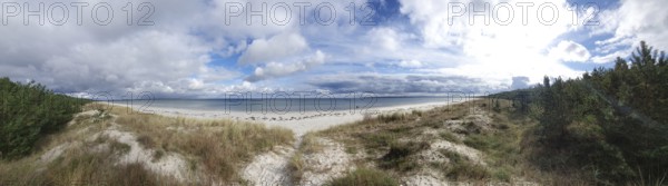 Panorama Extensive sandy beach with overgrown dunes and wide sky, Rügen, Baltic Sea