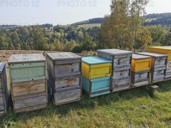 Colourful beehives (apis) stand in a meadow in an autumnal landscape under a clear sky, Franconian Forest nature park Park