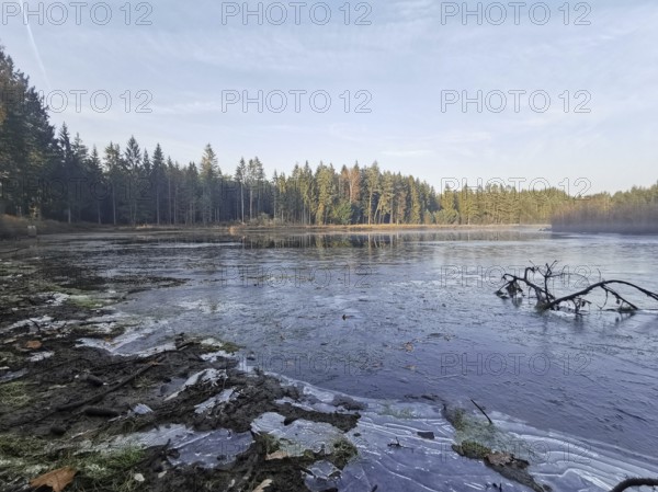 Frozen lake with surrounding forest and icy surface structures, hiking along the green belt, Franconian Forest nature park Park
