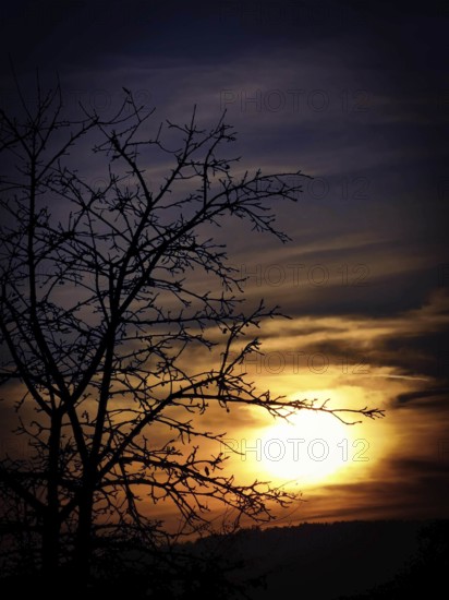 Dramatic sunset with tree silhouette against a colorful sky, Frankenwald nature park Park