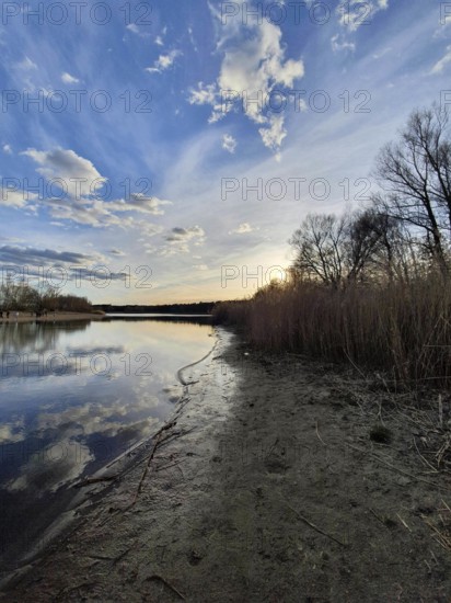 Lake at sunset, cloudy sky and shore lined with reeds, Kausldorfer Seen, Berlin
