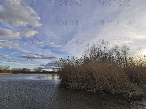 Wintery lake with barren trees and clouds in the sky, Berlin