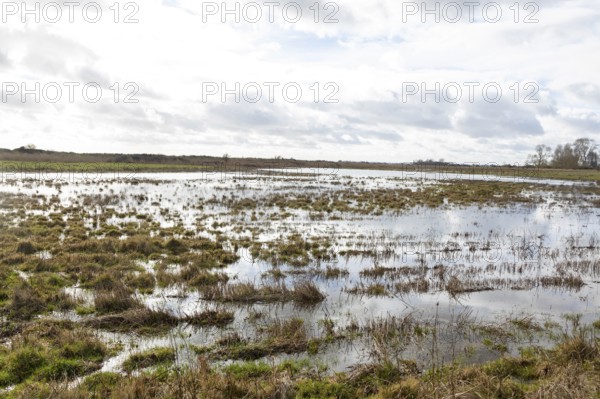 Flooded lowland fields Boyton and Hollesley Marshes Nature Reserve, Hollesley, Suffolk, England, UK