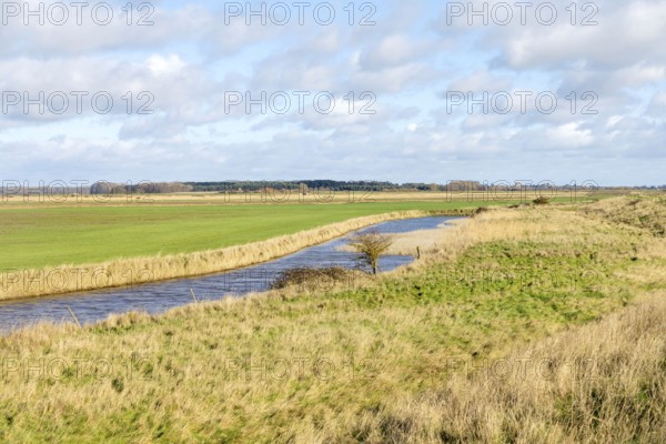 Drainage channel in low land, Boyton and Hollesley Marshes Nature Reserve, Boyton, Suffolk, England, UK