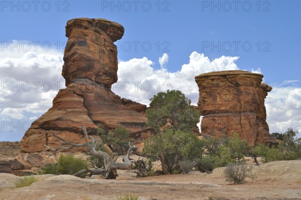 Impressive rock formations in a barren desert landscape under a partly cloudy sky, Canyonlands National Park, Utah, USA