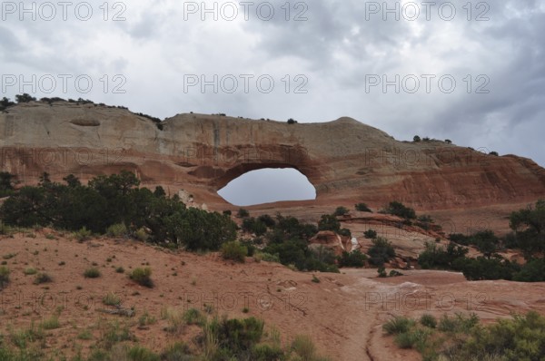 Large natural rock arch in a red desert landscape surrounded by sparse vegetation and cloudy sky, Canyonlands National Park, Utah, USA