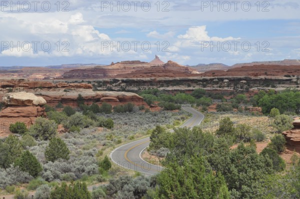 Winding road snakes through a landscape of red rocks and green vegetation under blue skies, Canyonlands National Park, Utah, USA