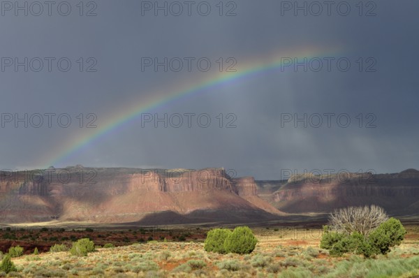 Bright rainbow stretches across a dramatic desert landscape with rocks and threatening sky, Canyonlands National Park, Utah, USA