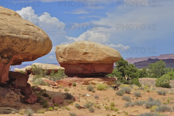 Round rock formations in a vast desert landscape with sparse vegetation and slightly cloudy sky, Canyonlands National Park, Utah, USA