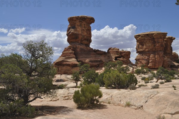Dramatic rock formations with green shrubs under a blue sky with few clouds in a desert environment, Canyonlands National Park, Utah, USA