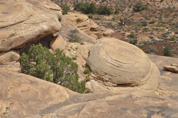 An impressive rock formation with sparse vegetation in an arid landscape, Canyonlands National Park, Utah, USA