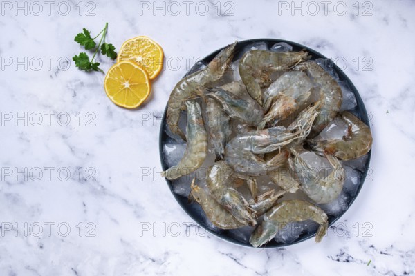 Fresh raw shrimp, spread on ice with lemon and cilantro slices on a marble surface, ready to cook, no people