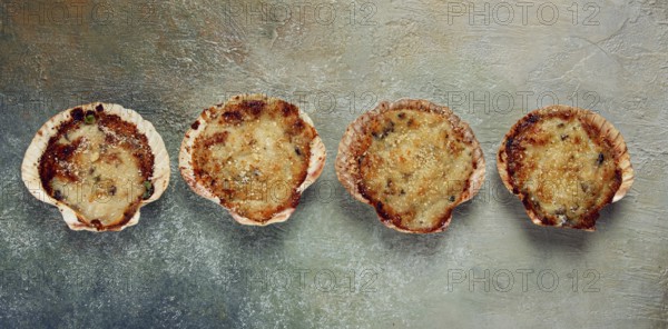 Scallop shells, stuffed, baked with cheese, in the oven, julienne with scallops