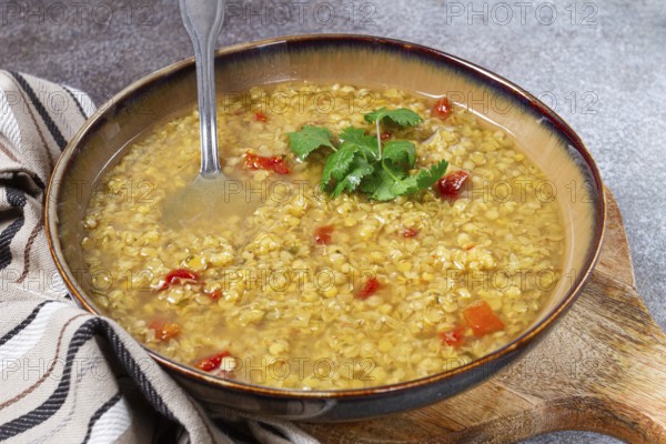 A hearty lentil soup is presented in a rustic bowl, featuring vibrant tomato pieces and fresh cilantro on top, perfect for a cozy meal during any season