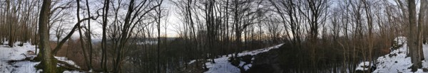 Panorama of a wintery forest with snow-covered ground at dusk, Franconian Forest nature park Park