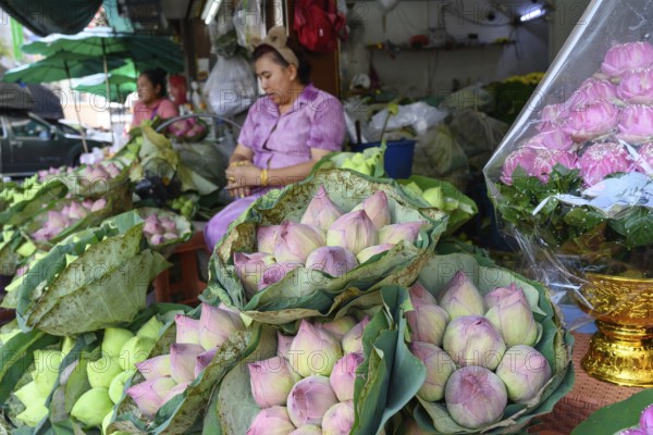 Bangkok, Thailand. March 2rd 2025. Bunches of lotus flowers for sale, Pak Khlong Talat-Bangkok Flower Market, The lotus flower is a part of Buddhist culture and often given as offering at Buddhist temples