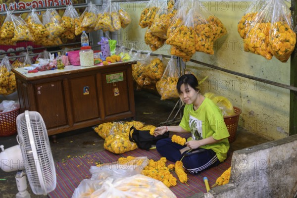 A Thai woman making traditional flower garlands at Pak Khlong Talat, a Bangkok flower market, Pak Khlong Talat-Bangkok Flower Market is one of the oldest and largest wholesale flower markets in Bangkok. Phuang Malai is the ancient art of threading tiny flower buds to serve as a religious offering. Phuang Malai garlands are created by skilled Thai artisans and sold in flower markets or near Buddhist Temples