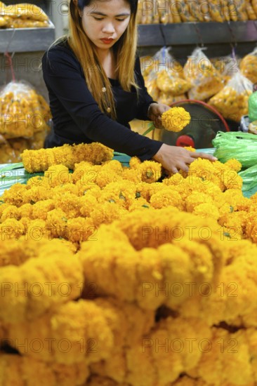 Bangkok, Thailand. March 2rd 2025. A Thai woman making traditional flower garlands at Pak khlong Talat, a Bangkok flower market