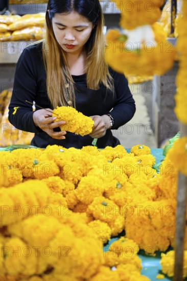 Bangkok, Thailand. March 4th 2025. A Thai woman making traditional flower garlands at Pak khlong Talat, a Bangkok flower market