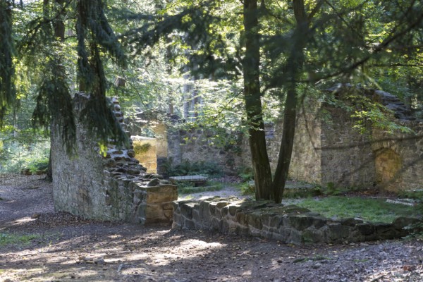 Romantic ruin of the Barbara Chapel in the Dippoldiswald Heath, Saxony, Germany
