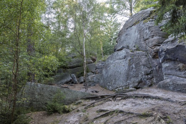 Einsiedlerstein rock formation in the Dippoldiswald Heath, Saxony, Germany
