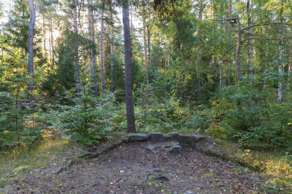 Remains of the foundations of St. Catherine's Chapel on Einsiedlerstein in the Dippoldiswald Heath, Saxony, Germany