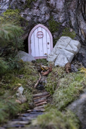 Gnome door on a tree in the Dippoldiswald Heath, Saxony, Germany