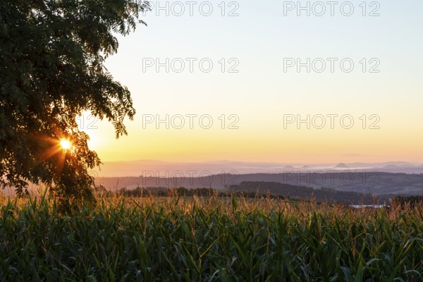 Colour-intensive sunrise towards Saxon Switzerland seen from round, Bannewitz, Saxony, Germany