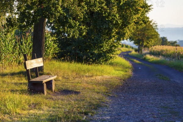 Bank on the roadside between fields, Bannewitz, Saxony, Germany